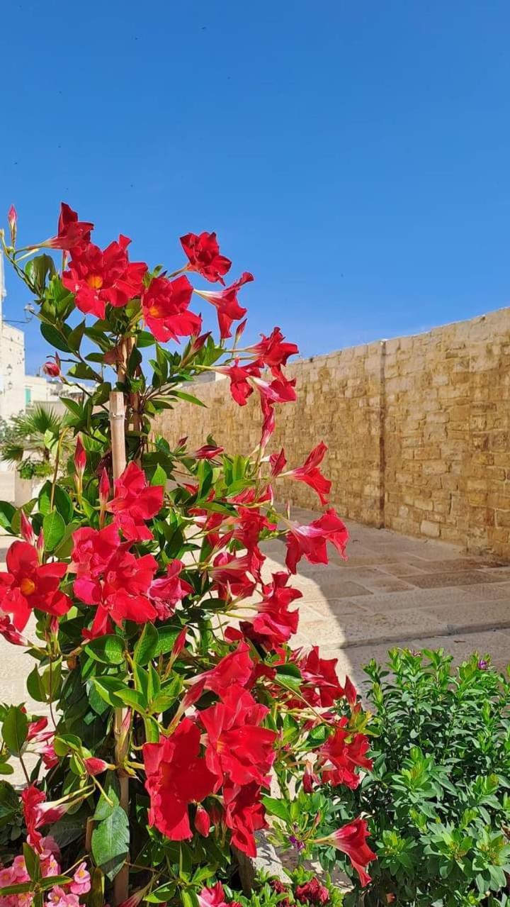 H2O Giovinazzo Villa Exterior photo